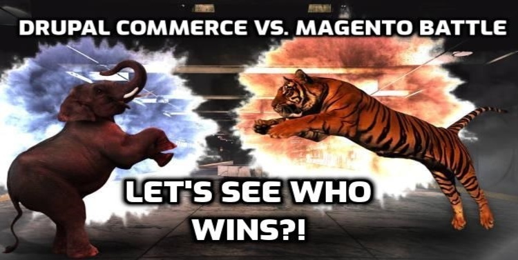 drupal vs magento