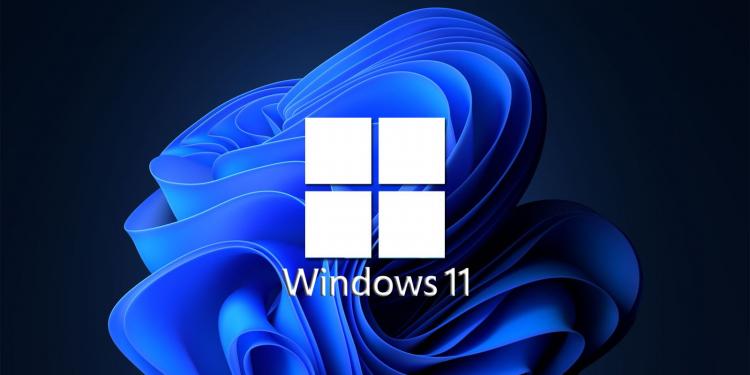 Windows 11